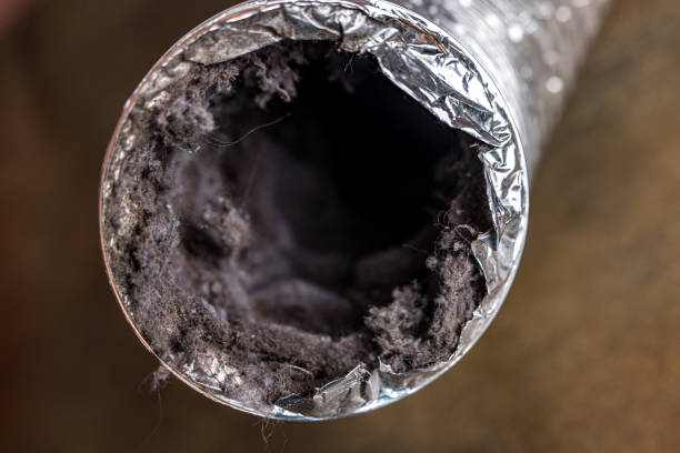 Best HVAC System Cleaning  in Awendaw, SC